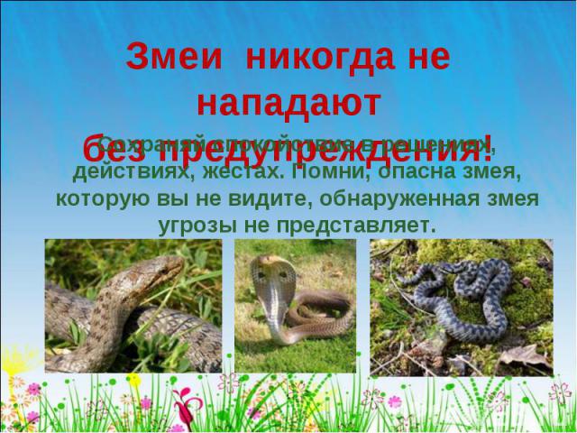 Змеи  никогда не нападают без предупреждения! Сохраняй спокойствие в решениях, действиях, жестах. Помни, опасна змея, которую вы не видите, обнаруженная змея угрозы не представляет.