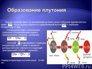 Образование плутония Важное значение имеет не вызывающий деления захват нейтроно