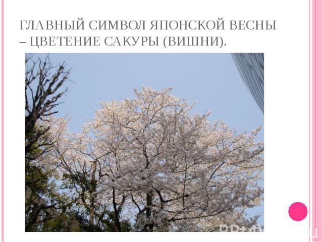 Главный символ японской весны – цветение сакуры (вишни).