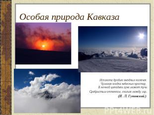 Особая природа Кавказа Исколота дробью звездных колючек Чумазая кладка небесных