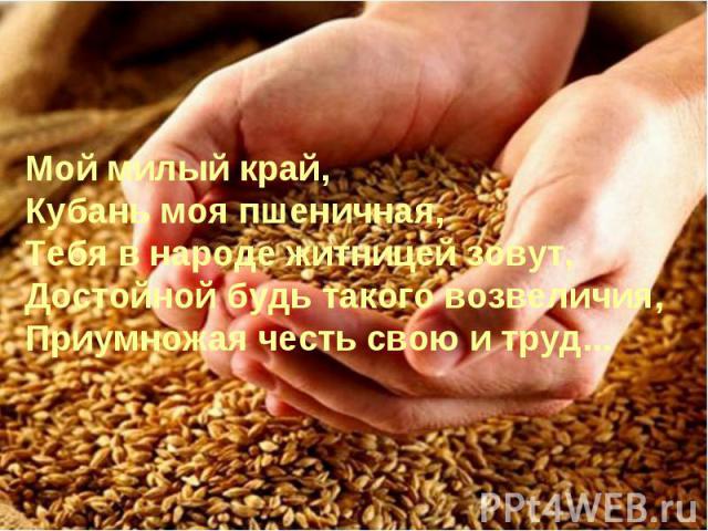 Мой милый край, Кубань моя пшеничная, Тебя в народе житницей зовут, Достойной будь такого возвеличия, Приумножая честь свою и труд...