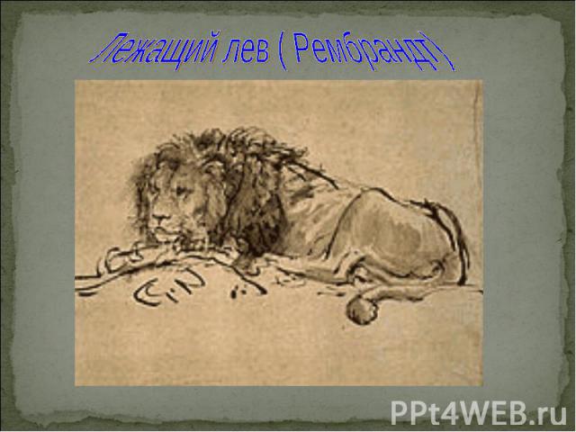 Лежащий лев ( Рембрандт)