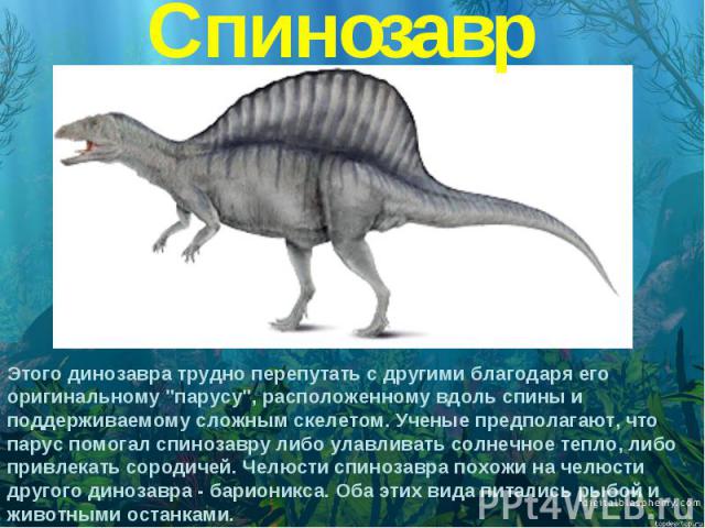 Спинозавр Этого динозавра трудно перепутать с другими благодаря его оригинальному 