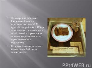 Ленинградцы голодали. Ежедневный паек по карточкам составлял 250 гр.хлеба для ра