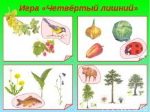 Разнообразие животного мира Краснодарского края