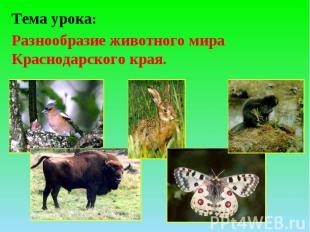 Тема урока: Разнообразие животного мира Краснодарского края.
