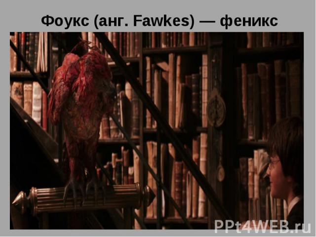Фоукс (анг. Fawkes) — феникс Фоукс (анг. Fawkes) — феникс, «домашнее животное» Альбуса Дамблдора. Очевидно, Фоукс значит для Дамблдора то же, что и Букля для Гарри Поттера. Феникс и сам привязан к директору настолько, что после его смерти исчезает и…
