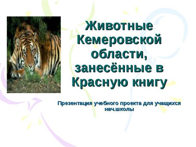 Животные Кемеровской области, занесённые в Красную книгу Презентация учебного проекта для учащихся нач.школы