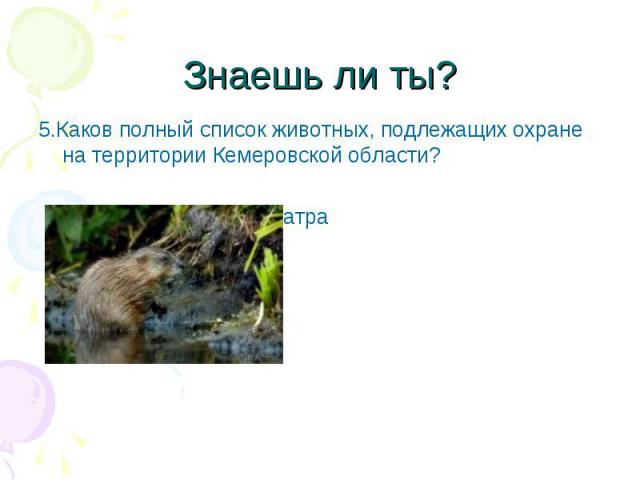 Знаешь ли ты? 5.Каков полный список животных, подлежащих охране на территории Кемеровской области? ондатра