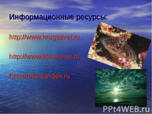 Информационные ресурсы: http://www.krugosvet.ru http://www.life-ocean.ru http://fotki.yandex.ru