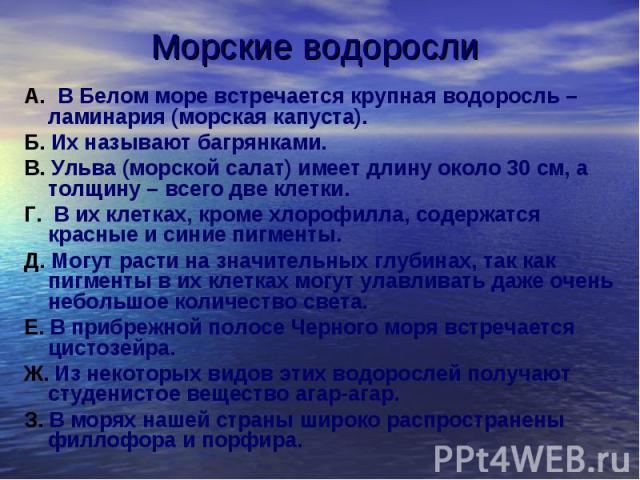 Морские водоросли А. В Белом море встречается крупная водоросль – ламинария (морская капуста). Б. Их называют багрянками. В. Ульва (морской салат) имеет длину около 30 см, а толщину – всего две клетки. Г. В их клетках, кроме хлорофилла, содержатся к…