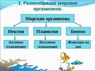 1. Разнообразие морских организмов. Морские организмы