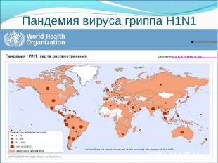 Пандемия вируса гриппа Н1N1