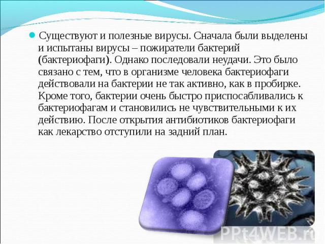 Существуют и полезные вирусы. Сначала были выделены и испытаны вирусы – пожиратели бактерий (бактериофаги). Однако последовали неудачи. Это было связано с тем, что в организме человека бактериофаги действовали на бактерии не так активно, как в проби…