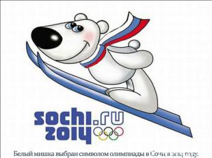 Белый мишка выбран символом олимпиады в Сочи в 2014 году.