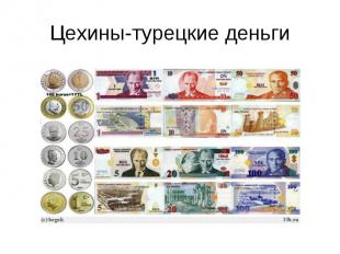 Цехины-турецкие деньги