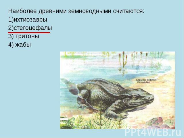 Наиболее древними земноводными считаются: 1)ихтиозавры 2)стегоцефалы 3) тритоны 4) жабы