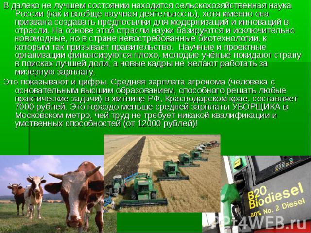 В далеко не лучшем состоянии находится сельскохозяйственная наука России (как и вообще научная деятельность), хотя именно она призвана создавать предпосылки для модернизаций и инноваций в отрасли. На основе этой отрасли науки базируются и исключител…