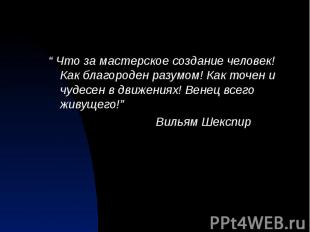 “ Что за мастерское создание человек! Как благороден разумом! Как точен и чудесе