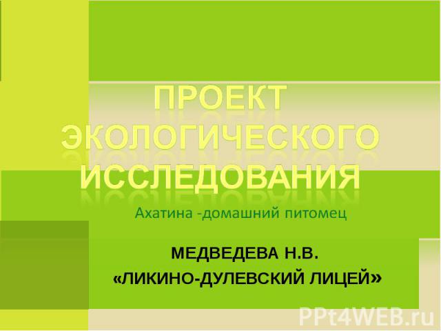 Проект экологического исследования Ахатина -домашний питомец Медведева Н.В. «Ликино-Дулевский лицей»