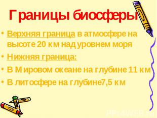 Границы биосферы Верхняя граница в атмосфере на высоте 20 км над уровнем моря Ни