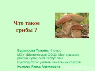 Что такое грибы ? Бурмисова Татьяна, 4 класс МОУ «Шомиковская ООШ» Моргаушского