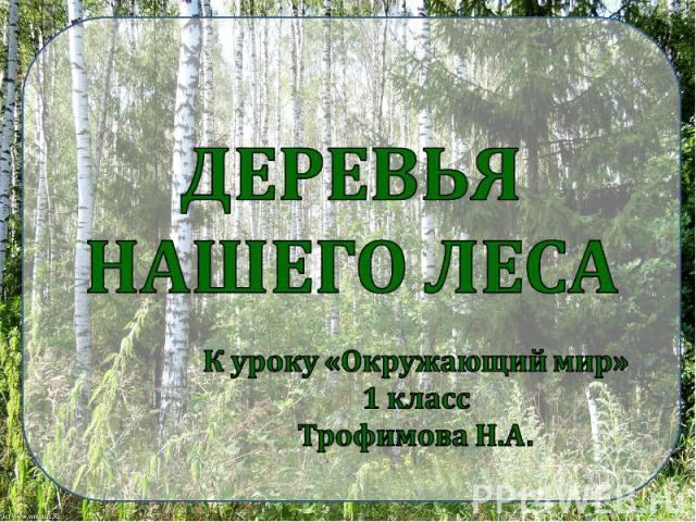 Деревья нашего леса К уроку «Окружающий мир» 1 класс Трофимова Н.А.