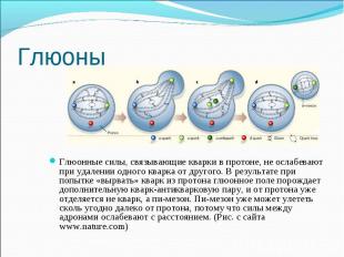 Глюоны Глюонные силы, связывающие кварки в протоне, не ослабевают при удалении о