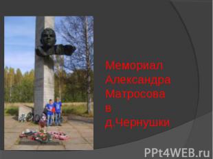 Мемориал Александра Матросова в д.Чернушки
