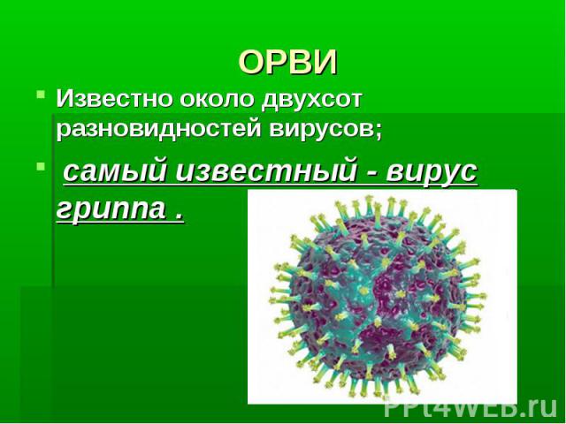 ОРВИ Известно около двухсот разновидностей вирусов; самый известный - вирус гриппа .