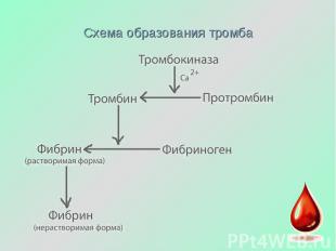Схема образования тромба