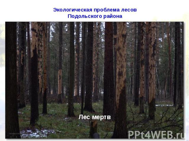 Экологическая проблема лесов Подольского района