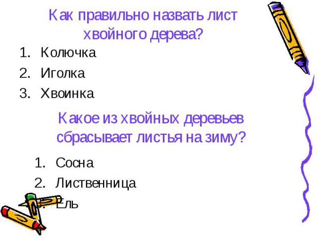 Как правильно назвать лист хвойного дерева?Колючка Иголка Хвоинка Какое из хвойных деревьев сбрасывает листья на зиму? Сосна Лиственница Ель