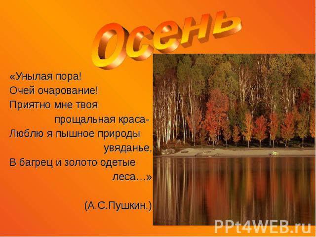 Осень «Унылая пора! Очей очарование! Приятно мне твоя прощальная краса- Люблю я пышное природы увяданье, В багрец и золото одетые леса…» (А.С.Пушкин.)