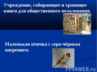 Учреждение, собирающее и хранящее книги для общественного пользования. Маленькая