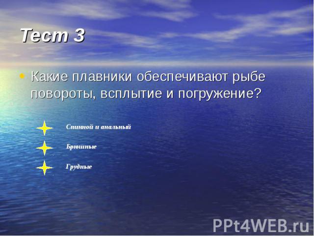 Тест 3 Какие плавники обеспечивают рыбе повороты, всплытие и погружение?