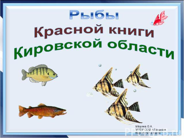 Рыбы Красной книги Кировской области