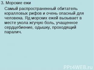 3. Морские ежи Самый распространенный обитатель коралловых рифов и очень опасный