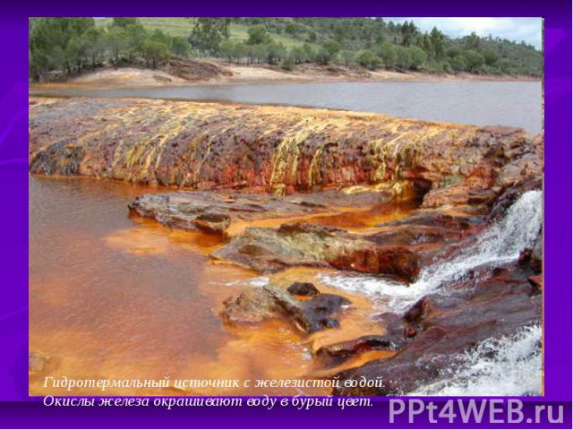 Гидротермальный источник с железистой водой. Окислы железа окрашивают воду в бурый цвет.