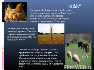 α&kº Для хорошей яйценоскости одной курице требуется корм, состоящий из 8% мела,