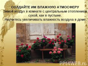 СОЗДАЙТЕ ИМ ВЛАЖНУЮ АТМОСФЕРУ Зимой воздух в комнате с центральным отоплением су