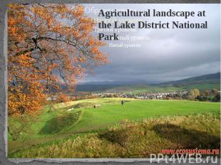 Agricultural landscape at the Lake District National Park