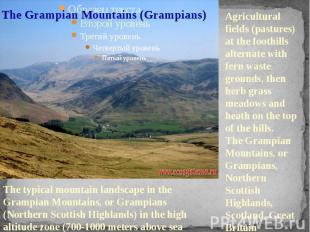 The Grampian Mountains (Grampians) Agricultural fields (pastures) at the foothil