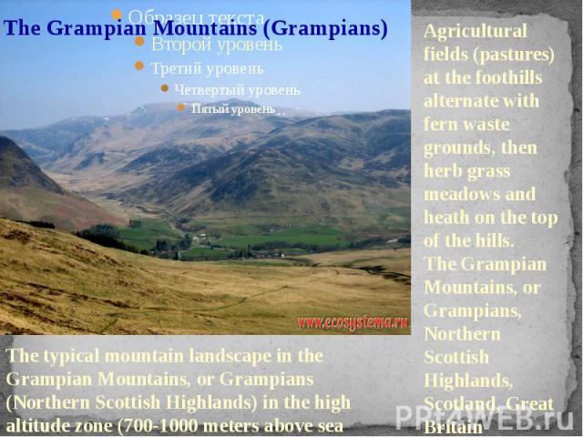 The Grampian Mountains (Grampians) Agricultural fields (pastures) at the foothills alternate with fern waste grounds, then herb grass meadows and heath on the top of the hills. The Grampian Mountains, or Grampians, Northern Scottish Highlands, Scotl…