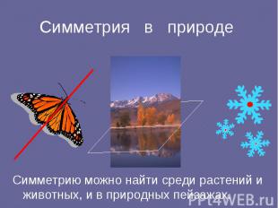 Симметрия в природе Симметрию можно найти среди растений и животных, и в природн