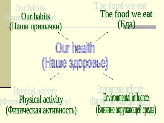 Our health (Наше здоровье) Our habits (Наши привычки) The food we eat (Еда) Physical activity (Физическая активность) Environmental influence (Влияние окружающей среды)