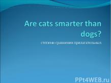 Are cats smarter than dogs?