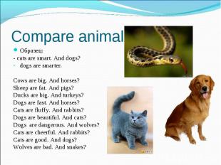 Compare animals Образец: - cats are smart. And dogs? dogs are smarter. Cows are