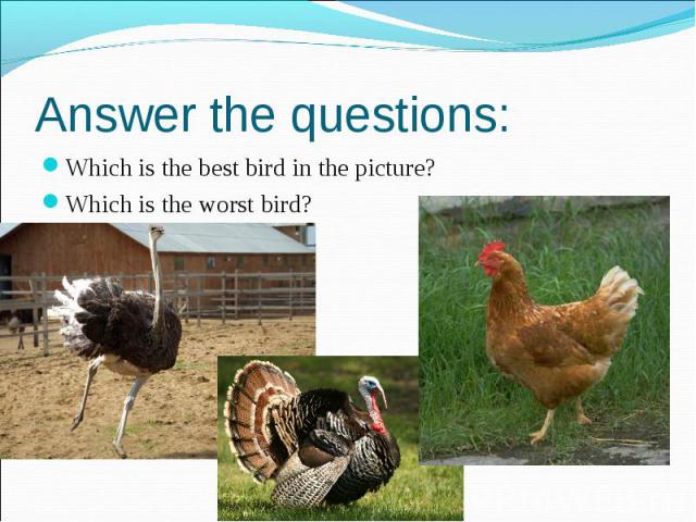 Answer the questions: Which is the best bird in the picture? Which is the worst bird?