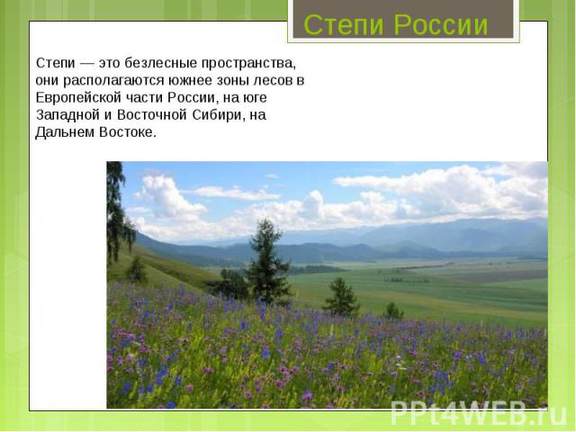 Степи России Степи — это безлесные пространства, они располагаются южнее зоны лесов в Европейской части России, на юге Западной и Восточной Сибири, на Дальнем Востоке.